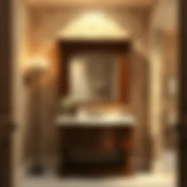 Magnificent Exploring the Potential of a Six-Inch Deep Bathroom Wall Cabinet Magnificent Exploring the Potential of a Six-Inch Deep Bathroom Wall Cabinet