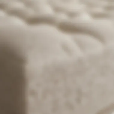 Close-up of Tempur-Pedic mattress material showcasing its unique texture