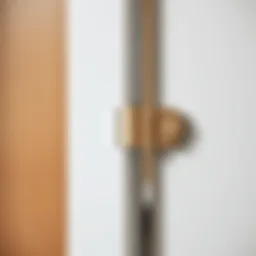 Close up of a modern hinge on a bathroom vanity door showcasing sleek design