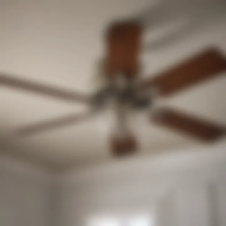 Close-up of a ceiling fan’s blades showcasing sound-dampening features