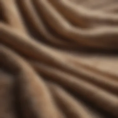 Close-up view showcasing the texture of a Vellux blanket