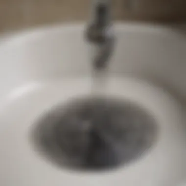 Visual Guide to Drain Care Diagram illustrating drain maintenance steps