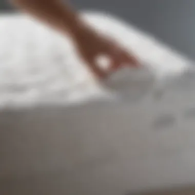 Demonstration of a gentle cleaning technique on a mattress