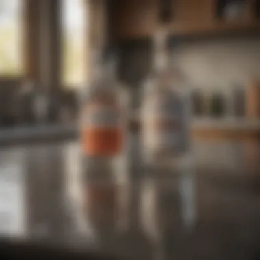 Common Household Remedies Baking soda and vinegar on a countertop
