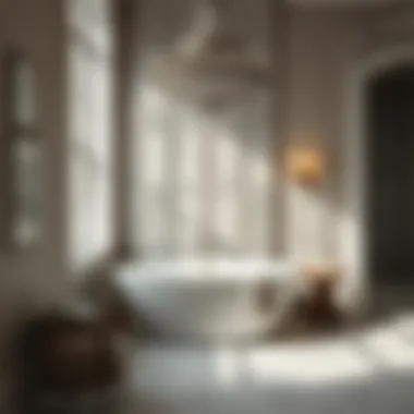 Exploring Bino Bath Accessories: A Comprehensive Guide Introduction Exploring Bino Bath Accessories: A Comprehensive Guide Introduction