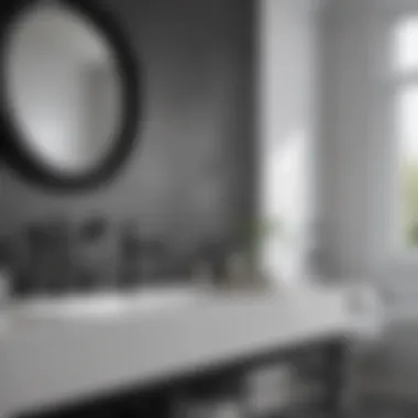 Bathroom decor highlighting the contrast of black and white fixtures