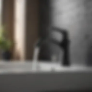 Installation Techniques for Faucets Installation of a stylish black and white faucet