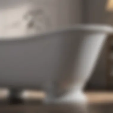 Close-up of freestanding bathtub leg details