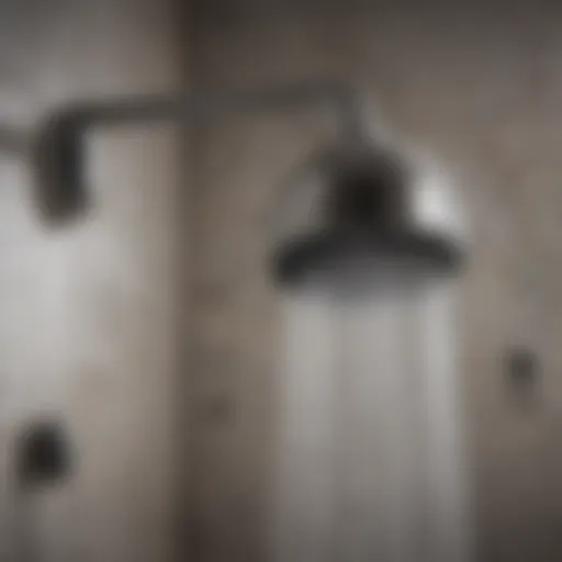 Modern showerhead with adjustable settings