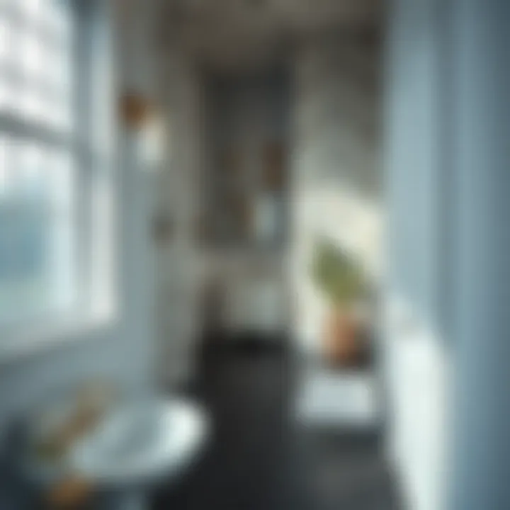 Sophisticated Decorative Accents for a Refined Look Sophisticated decorative accents for bathrooms