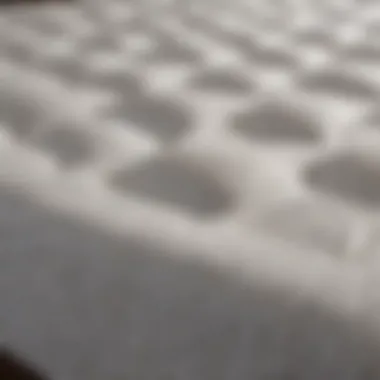 Materials Used in the Novaform Grande Plus Mattress Close-up of the materials used in the Novaform Grande Plus mattress
