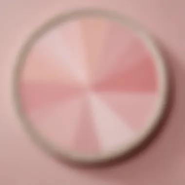 Close-up of a color palette featuring pale pink paint swatches and complementary colors