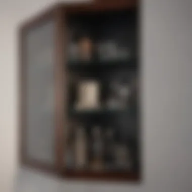 Modern Corner Cabinet Modern corner cabinet with sleek design and functionality