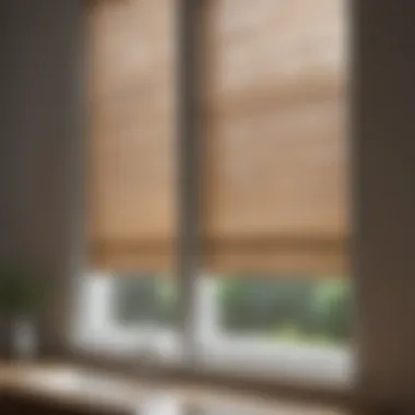 Translucent window shades providing privacy