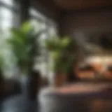 Lush indoor plants enhancing a modern living space