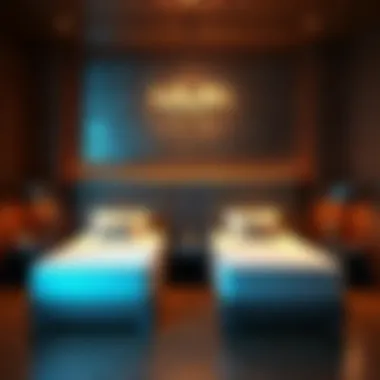 Exploring the Concept of Twin Mattresses with Built-in Box Springs Introduction