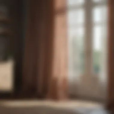 Elegant Sheer Curtains Enhancing Natural Light Elegant sheer curtains enhancing natural light