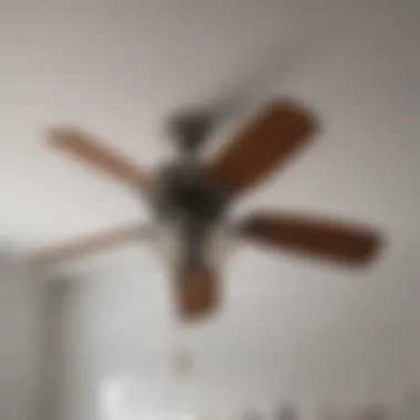 Essential Tools for Ceiling Fan Maintenance Maintenance tools for ceiling fan upkeep in a bathroom