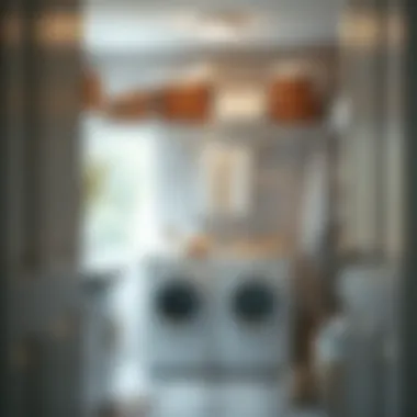 Optimized Laundry Space with Drying Solutions Organized laundry room with a drying rack and baskets