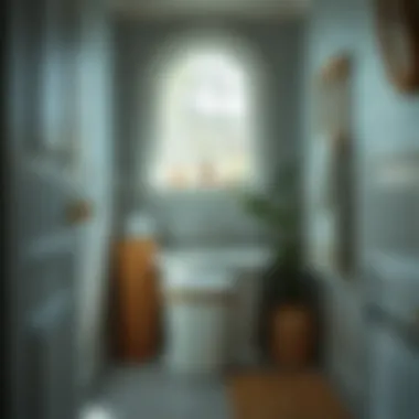 Notable Maximizing Space: The Small Bathroom Laundry Hamper Notable Maximizing Space: The Small Bathroom Laundry Hamper