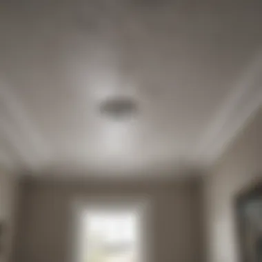 Visual representation of a ceiling leak in a home