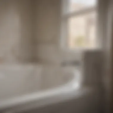 Close-up of safety features in a bathtub with a door