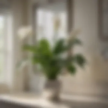 A peaceful corner featuring a peace lily next to a sink