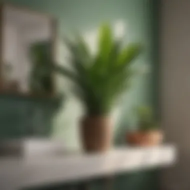 Snake Plant: The Ideal Bathroom Companion A lush, green snake plant placed on a bathroom shelf
