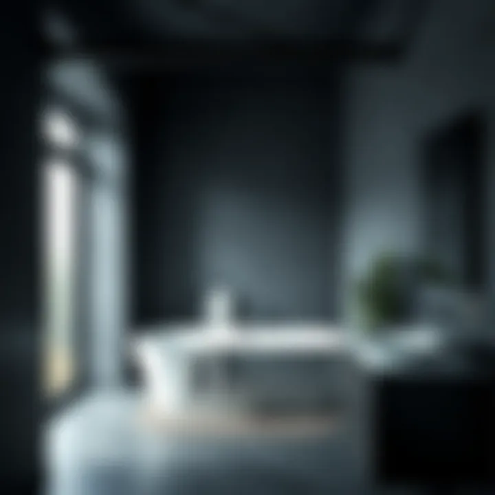 Modern bathroom showcasing a dramatic charcoal gray