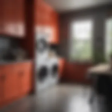 Vibrant Color Schemes for Laundry Rooms Elegant color scheme for a vibrant laundry environment